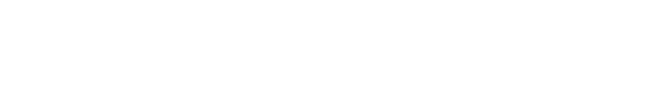 国内事業